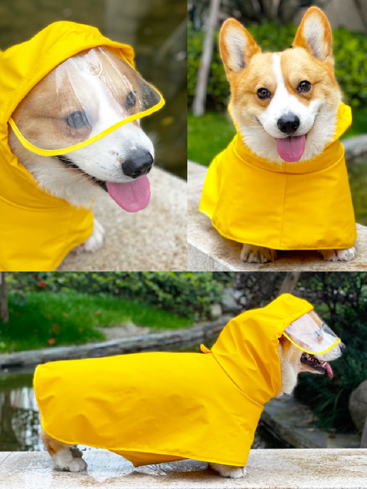 Raincoat Poncho